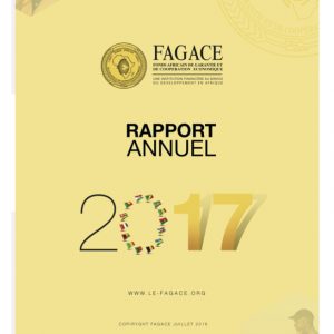 Rapport annuel 2017