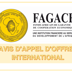 AVIS D’APPEL D’OFFRES INTERNATIONAL