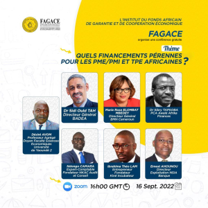 L’INSTITUT DU FAGACE ORGANISE UN WEBINAIRE GRATUIT SUR LE THEME : QUELS FINANCEMENTS PERENNES POUR LES PME/PMI ET TPE AFRICAINES ?»